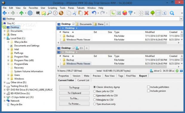 Explorer disk directories with XYplorer