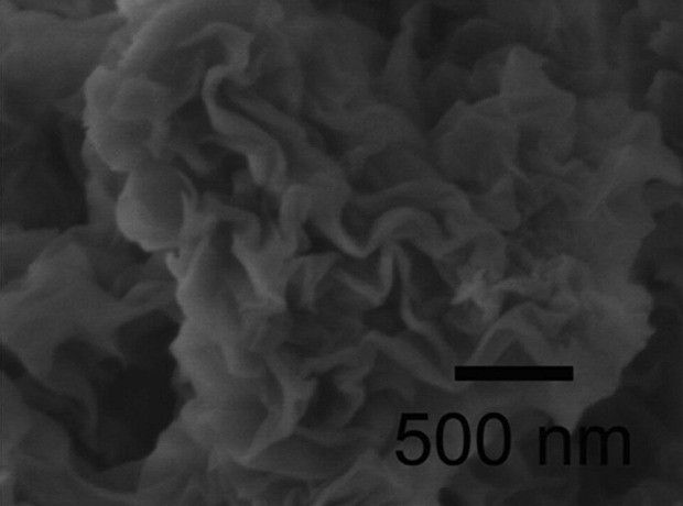 A close-up of the coral-like material developed by the Anhui Jianzhu University team