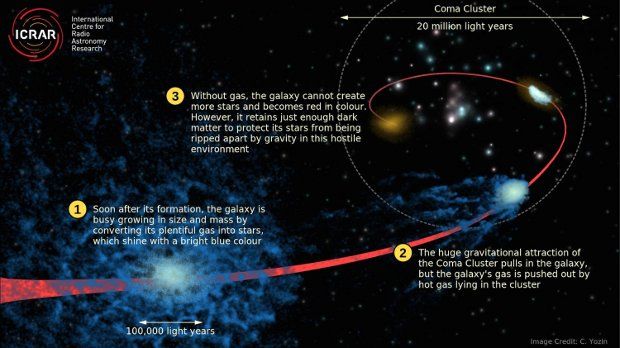 How galaxies became part of the Coma Cluster