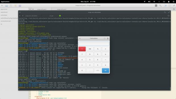 Using Snaps in elementary OS