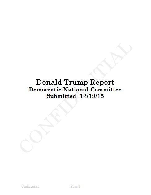 DNC Donald Trump report