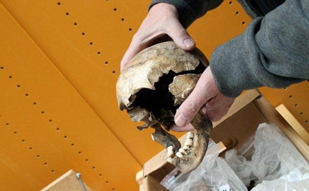 One of the skulls the scientists tested