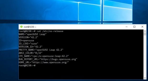 Running a SUSE Linux shell on Windows 10