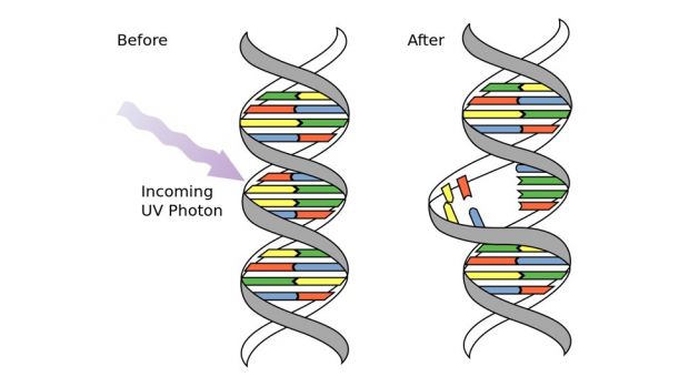 UV light destroying the DNA of bacteria