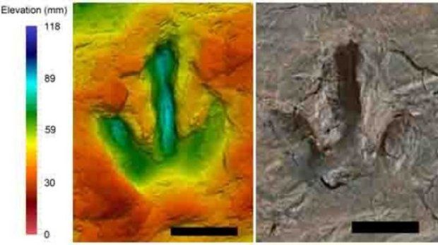False color photo of one of the Megalosauripus footprints