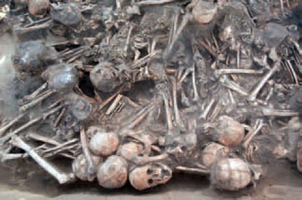 A close-up of the skeletons
