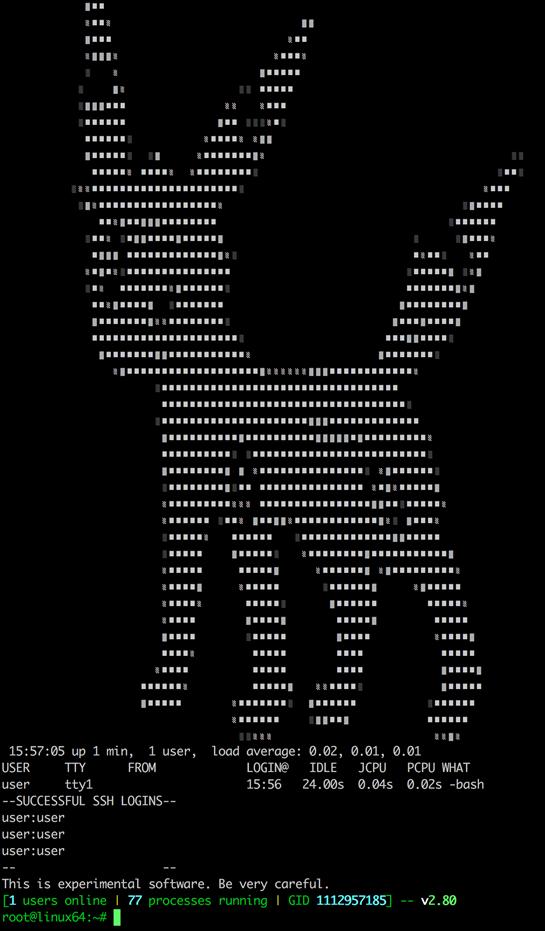 ASCII art when connecting via SSH to an Umbreon infected device