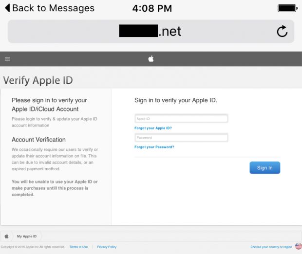 Users were eventually redirected to this phishing page