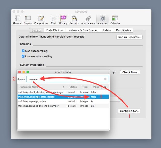 Mozilla Thunderbird configuration editor with expunge settings