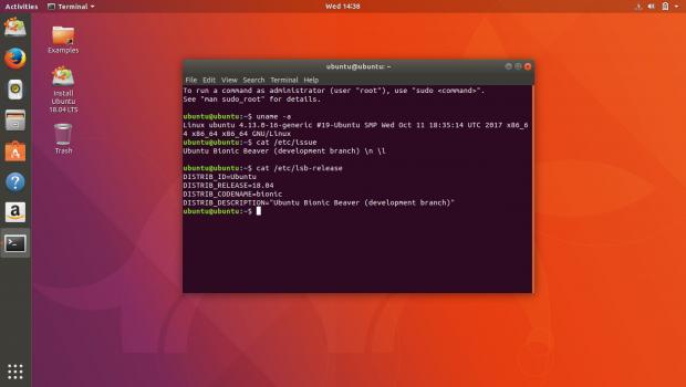 Ubuntu 18.04 LTS running Linux 4.13