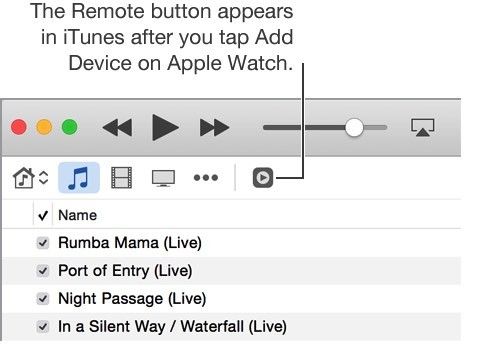 iTunes Remote button
