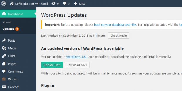 WordPress update section