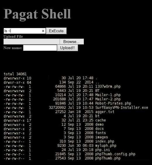 download shell php c99