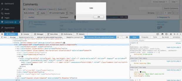 Akismet XSS, executing malicious code in the WP backend