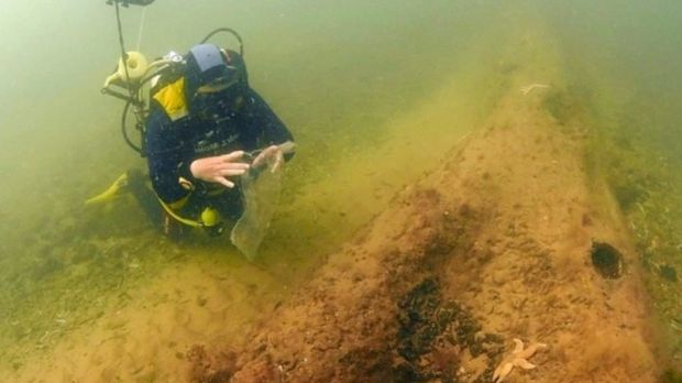 Diver finds ancient underwater forest off the coast of Norfolk