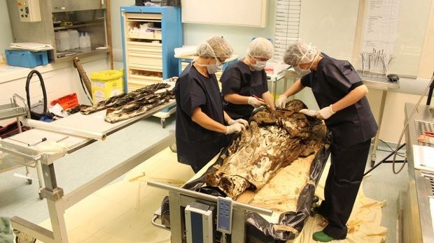 17th-century mummy discovered in France belongs to a noblewoman