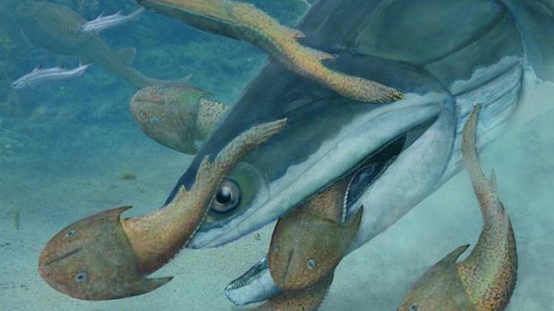 Researchers in China stumble upon the remains of an ancient predatory fish