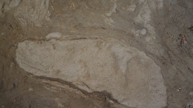 Ancient footprint found in Denmark