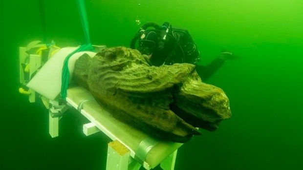 Centuries-old wooden sea monster pulled from the Baltic
