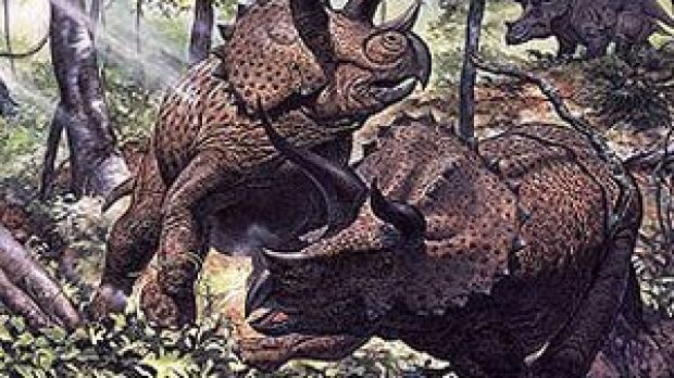 Evolved Triceratops