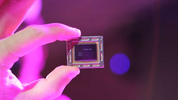 AMD's Trininty