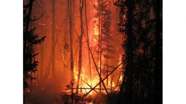 Climate change is causing Alaskan wildfires to burn more fiercely over the last decade which has resulted in an increase in greenhouse gases being pumped into the atmosphere.