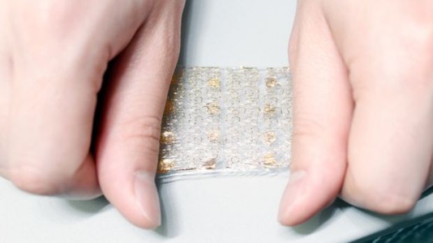 Artificial skin stretched 20%
