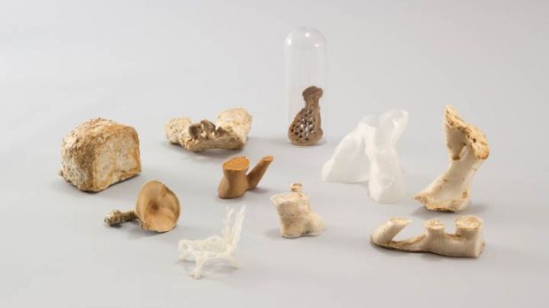 Amazing 3D printed objects using fungus