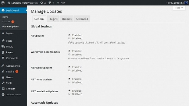 Easy Updates Manager sets up an automatic update policy for the site