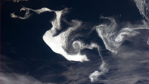An ice dragon off the coast of Newfoundland