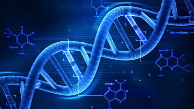 Study finds DNA can survive in space conditions