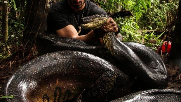 Man claims he let an anaconda eat him alive