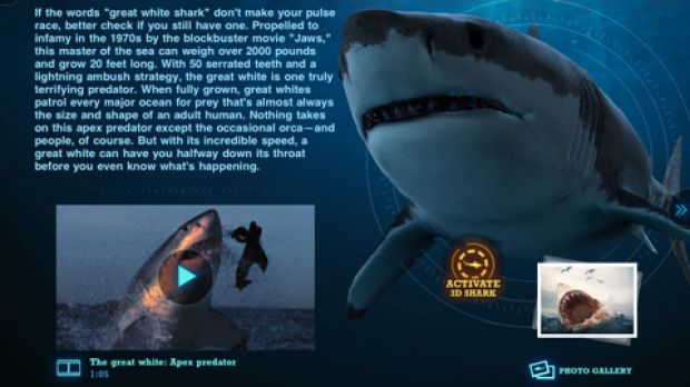 Ultimate Sharks app