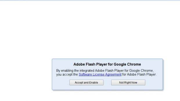 The integrated Adobe Flash Player plug-in EULA in Google Chrome