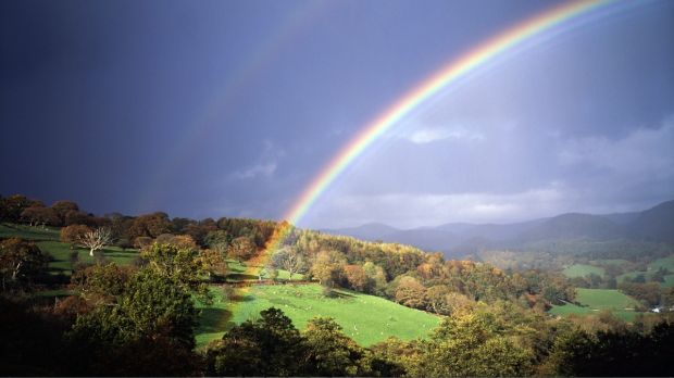 Rainbows Theme for Windows 7