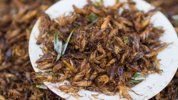 Crickets are on the menu in Thailand