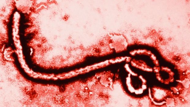 Ebola survives for weeks inside man's eye