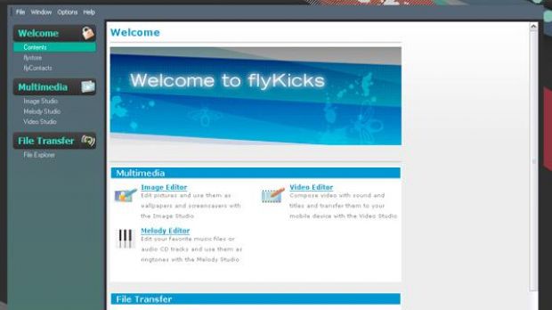 flyKicks software