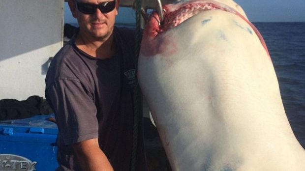 Earlier this week, 33-year-old Joel Merchant caught a massive shark in Australian waters