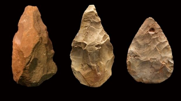Researchers believe ancient butchering tools encouraged the development of language