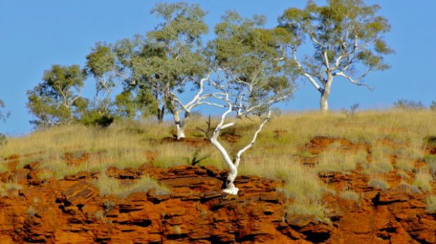 Scientists studied 2.5 billion-year-old sediments from under Australia's red-weathered hills