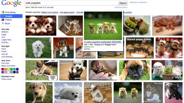 The new Google Image Search interface, as exemplified by cute puppies