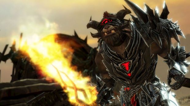 Guild Wars 2 is getting first-person view