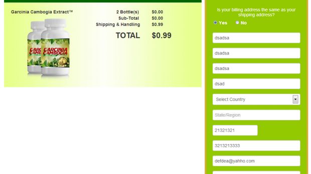 Shady Garcinia Cambogia diet site requests personal and financial information