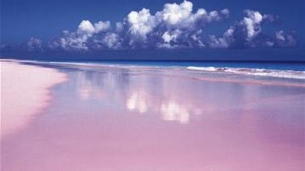 The Pink Beach