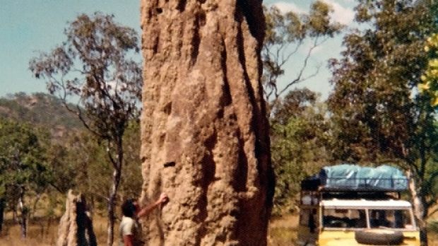 Australian termite mound
