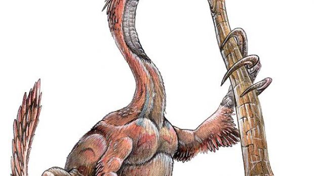 Therizinosaurus ('scythe lizard'), a later relative of  Suzhousaurus, was 10-12 m (33-40 ft) long and reached 3-6 tons in weight