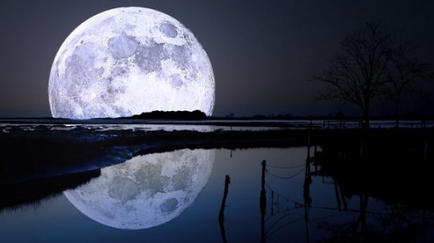 The Moon's anatomy might be more complex than we assume