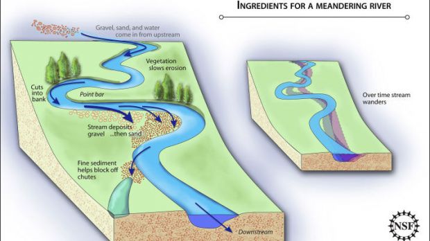 By reverse-engineering a meandering stream, researchers have shown two ingredients to be very important: vegetation to reinforce banks and prevent erosion, and sand to build point bars and block off cut-off channels and chutes