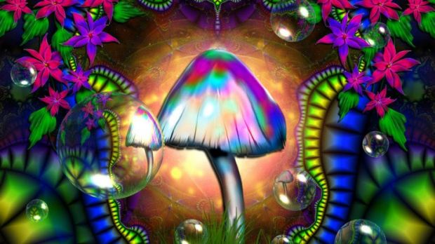 Researchers find magic mushrooms create new connections in the brain